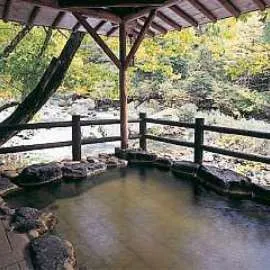 Shitajima Onsen Senyukan - Image 3