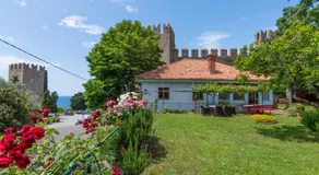 Walls of Piran Apartments and Rooms - Image 5