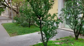 Family Friendly Apartman - Image 3