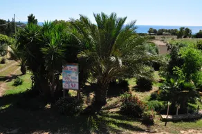 Apartment ''2'' for rent in Sardinia - Image 2