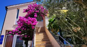 Apartments Marin, Kolan, Mandre, Pag - Image 4