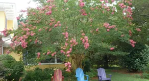 Back INN Time B&B - Image 4