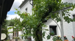 Ferienwohnung Lahnmündung - Image 4