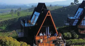 Nimo Tea Resort - Image 3