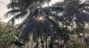 Sirimane Jungle Homestay - Image 2