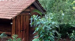 Namaste Jungle - A Boutique Homestay - Image 4