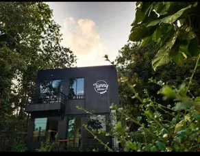 Tunny Home - Image 5