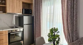 Sunshore Center apartment #4 - Image 3