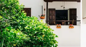 #Lookslikepelion - Image 4