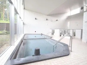 Senhata Onsen Sun R - Image 5