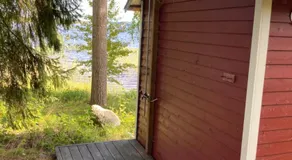 Svens Stuga - Image 4
