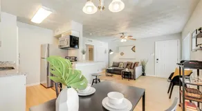 Dallas Boutique Flat - Arboretum Tickets Included - Image 4