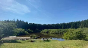 Lakeside Eco Pod - Image 4