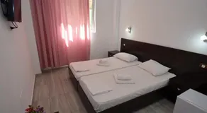 Vila II Poieniţa - Image 2