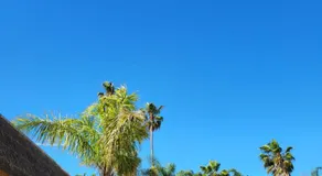 Foundry Palms Motel - Image 2