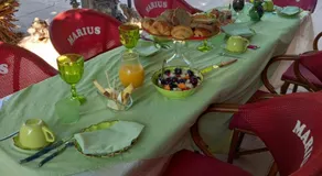 Les Lézards 2 au Soleil Draguignan - Image 3