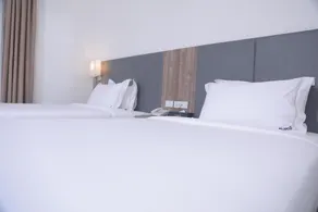 Elmo's Hotel - Image 4