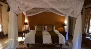 Moholoholo Forest Camp - Image 2