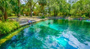 Welcome to Ocala - Image 5