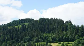 DOM NA SKARPIE - Image 4