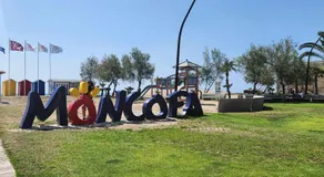 Perla del mar - Image 3