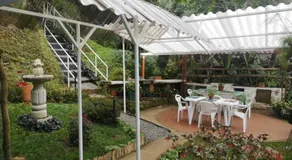 Bosque de Niebla Birding & Nature - Image 5
