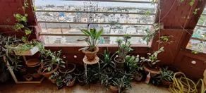 Cozy Homestay for only Women with City view - Image 5