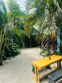 Surf Paradise - Image 5