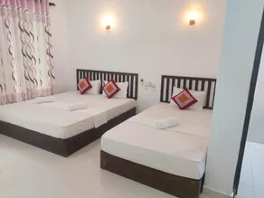 Nature bird paradise hotel - Image 3
