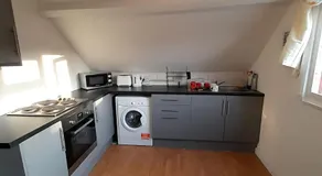 Entire Victoria Park Cardiff Apartment - Image 5