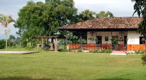 Finca La Camelia - Image 5