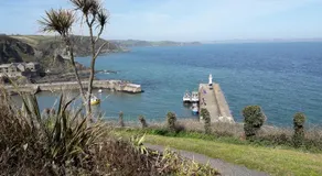Wild Air Guest House - Image 5