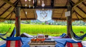 Buzzas @ Pai Chan - Image 4