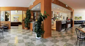 Villa Flora - Image 3
