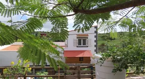 HOUSE of YUCCA - Image 3