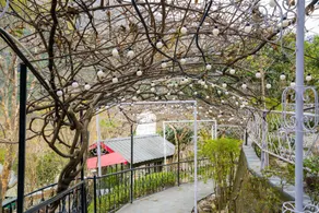 ELIVAAS Zephyr - Luxury cottages near Kempty Falls - Image 4