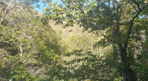 Locanda In Montagna Da Emili&Gabriel - Image 4