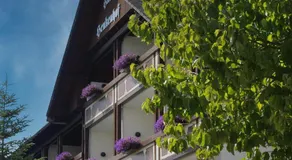 Landhotel Henkenhof Willingen - Image 2