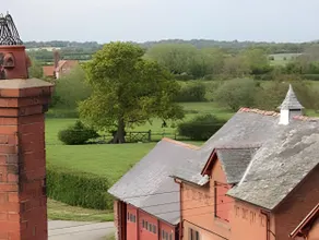 Cotton Farm - Image 5