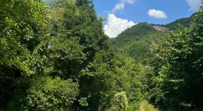 Vegan bed and breakfast Colle della luna - Image 3