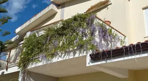 Villa Alba - Image 3