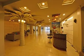 Holiday Hotel - Image 2