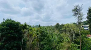O'live Inn Wayanad Apart-Hotels - Image 5