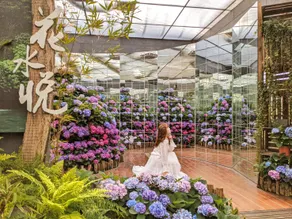 Flower Home - Image 4