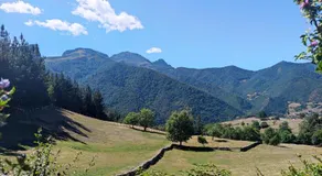 La Huertona - Image 5