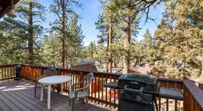 Harrison's Hanger - Cozy cabin with a fairly nice view of the tree line! Wood burning fireplace! - Image 3