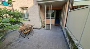 Sole - Image 3