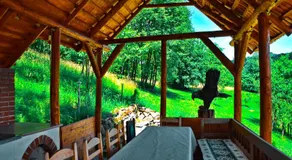 Cabana Codrii Maramuresului - Image 4