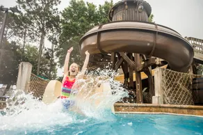The Cabins at Disney's Fort Wilderness Resort - Image 5