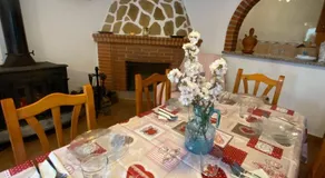 Las olivas - Image 4